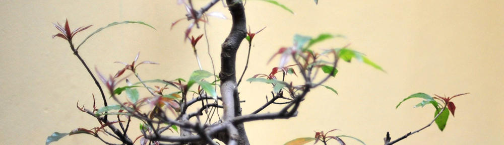 All Exteriors Utah 801-860-5701